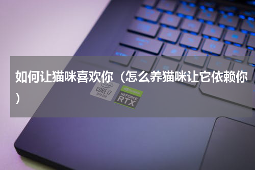 如何让猫咪喜欢你（怎么养猫咪让它依赖你）