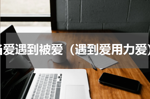 当爱遇到被爱（遇到爱用力爱）