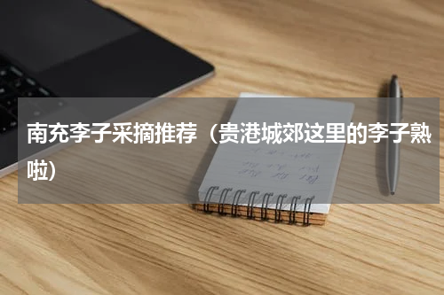 南充李子采摘推荐（贵港城郊这里的李子熟啦）