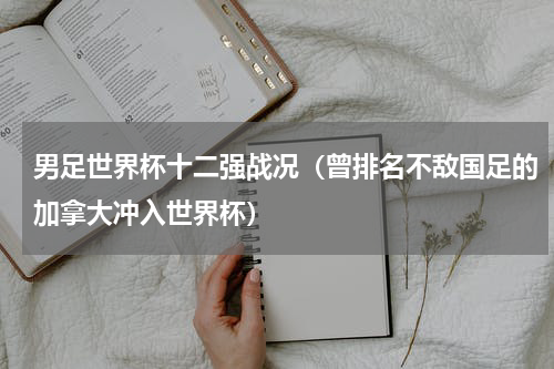 男足世界杯十二强战况（曾排名不敌国足的加拿大冲入世界杯）