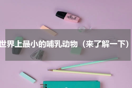 世界上最小的哺乳动物（来了解一下）