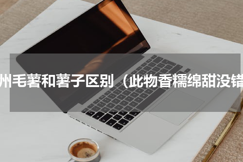 潮州毛薯和薯子区别（此物香糯绵甜没错）