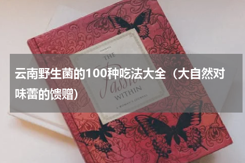 云南野生菌的100种吃法大全（大自然对味蕾的馈赠）