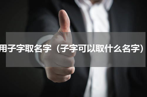 用子字取名字（子字可以取什么名字）