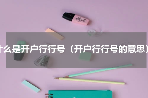 什么是开户行行号（开户行行号的意思）