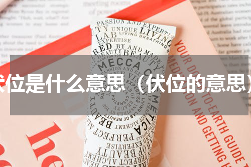 伏位是什么意思（伏位的意思）