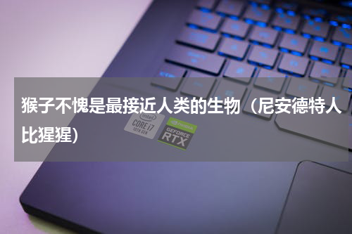 猴子不愧是最接近人类的生物（尼安德特人比猩猩）