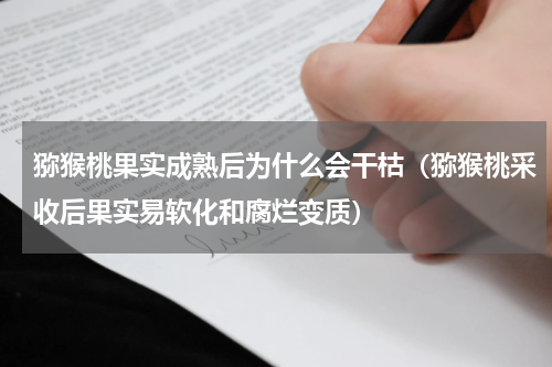 猕猴桃果实成熟后为什么会干枯（猕猴桃采收后果实易软化和腐烂变质）