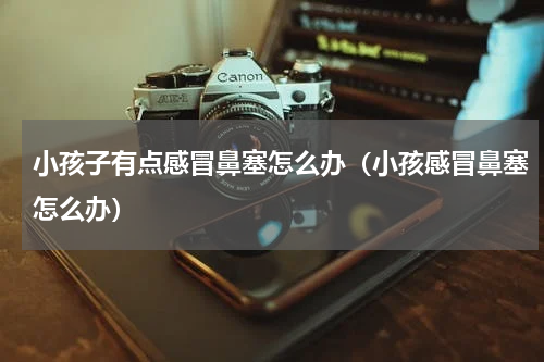 小孩子有点感冒鼻塞怎么办（小孩感冒鼻塞怎么办）