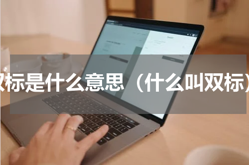 双标是什么意思（什么叫双标）