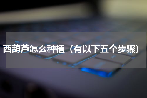 西葫芦怎么种植（有以下五个步骤）