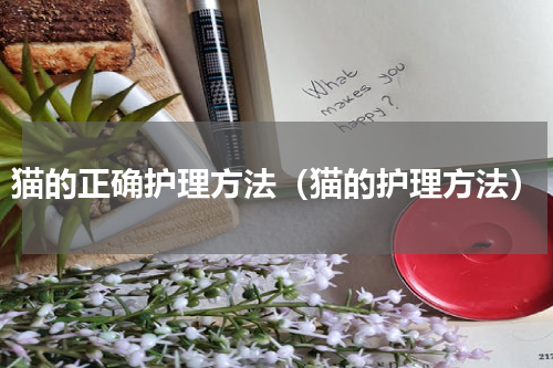 猫的正确护理方法（猫的护理方法）