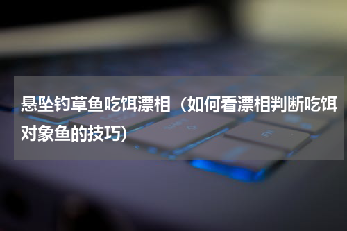 悬坠钓草鱼吃饵漂相（如何看漂相判断吃饵对象鱼的技巧）