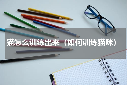猫怎么训练出来（如何训练猫咪）