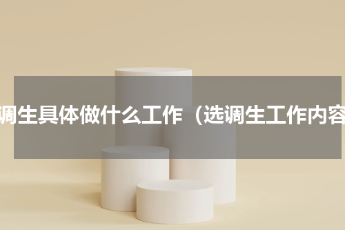 选调生具体做什么工作（选调生工作内容）