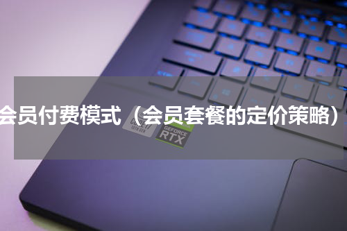 会员付费模式（会员套餐的定价策略）