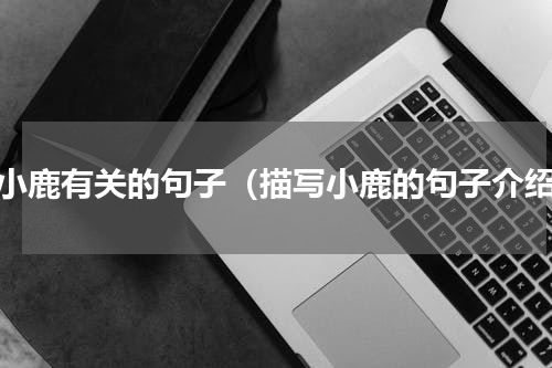 与小鹿有关的句子（描写小鹿的句子介绍）