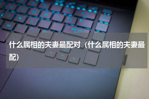 什么属相的夫妻最配对（什么属相的夫妻最配）