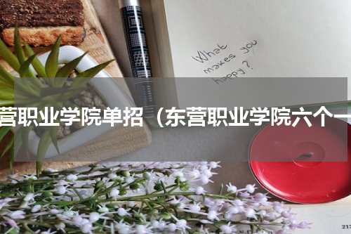 东营职业学院单招（东营职业学院六个一）