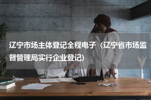 辽宁市场主体登记全程电子（辽宁省市场监督管理局实行企业登记）