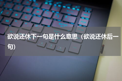 欲说还休下一句是什么意思（欲说还休后一句）