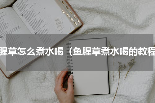 鱼腥草怎么煮水喝（鱼腥草煮水喝的教程）