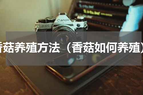 香菇养殖方法（香菇如何养殖）