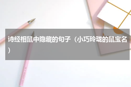 诗经相鼠中隐藏的句子（小巧玲珑的鼠宝名）