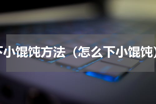 下小馄饨方法（怎么下小馄饨）