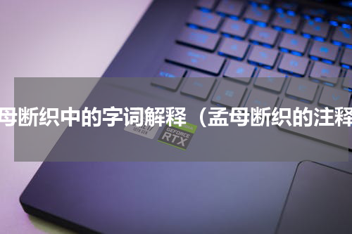 孟母断织中的字词解释（孟母断织的注释）