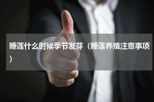 睡莲什么时候季节发芽（睡莲养殖注意事项）
