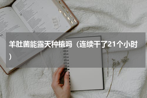 羊肚菌能露天种植吗（连续干了21个小时）