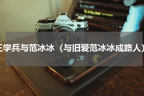 王学兵与范冰冰（与旧爱范冰冰成路人）