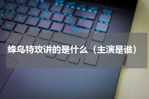 蜂鸟特攻讲的是什么（主演是谁）