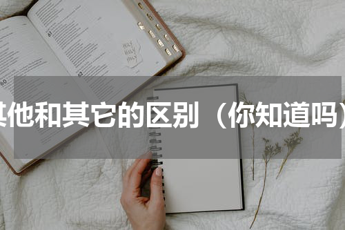 其他和其它的区别（你知道吗）