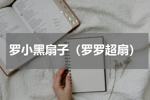 罗小黑扇子（罗罗超扇）
