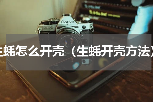 生蚝怎么开壳（生蚝开壳方法）