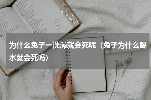 为什么兔子一洗澡就会死呢（兔子为什么喝水就会死吗）
