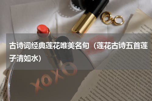 古诗词经典莲花唯美名句（莲花古诗五首莲子清如水）