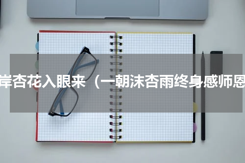 一岸杏花入眼来（一朝沫杏雨终身感师恩）