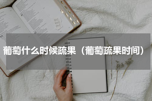 葡萄什么时候疏果（葡萄疏果时间）