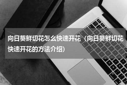 向日葵鲜切花怎么快速开花（向日葵鲜切花快速开花的方法介绍）