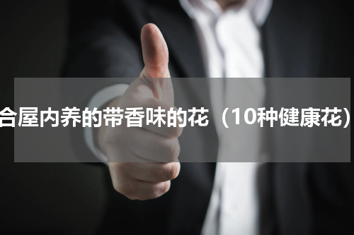 适合屋内养的带香味的花（10种健康花）