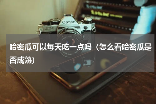 哈密瓜可以每天吃一点吗（怎么看哈密瓜是否成熟）