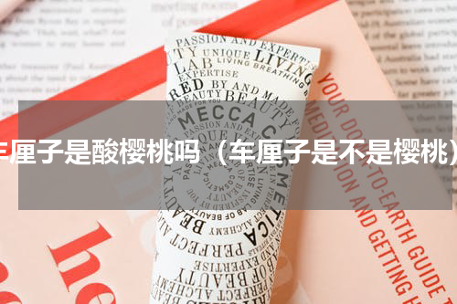 车厘子是酸樱桃吗（车厘子是不是樱桃）