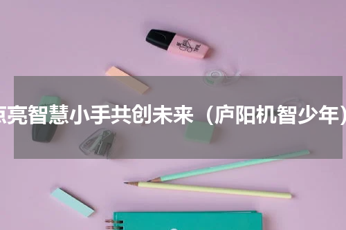点亮智慧小手共创未来（庐阳机智少年）