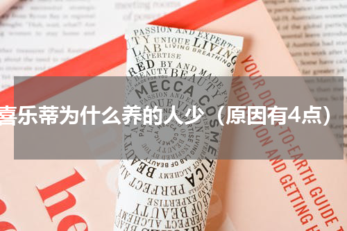 喜乐蒂为什么养的人少（原因有4点）