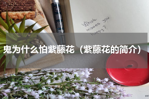鬼为什么怕紫藤花（紫藤花的简介）