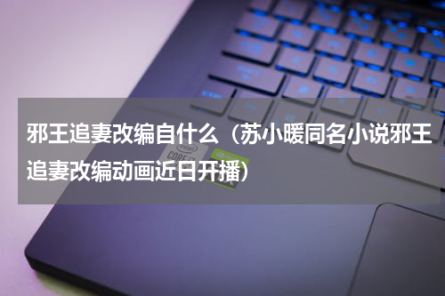 邪王追妻改编自什么（苏小暖同名小说邪王追妻改编动画近日开播）