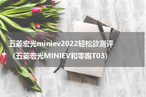 五菱宏光miniev2022轻松款测评（五菱宏光MINIEV和零跑T03）